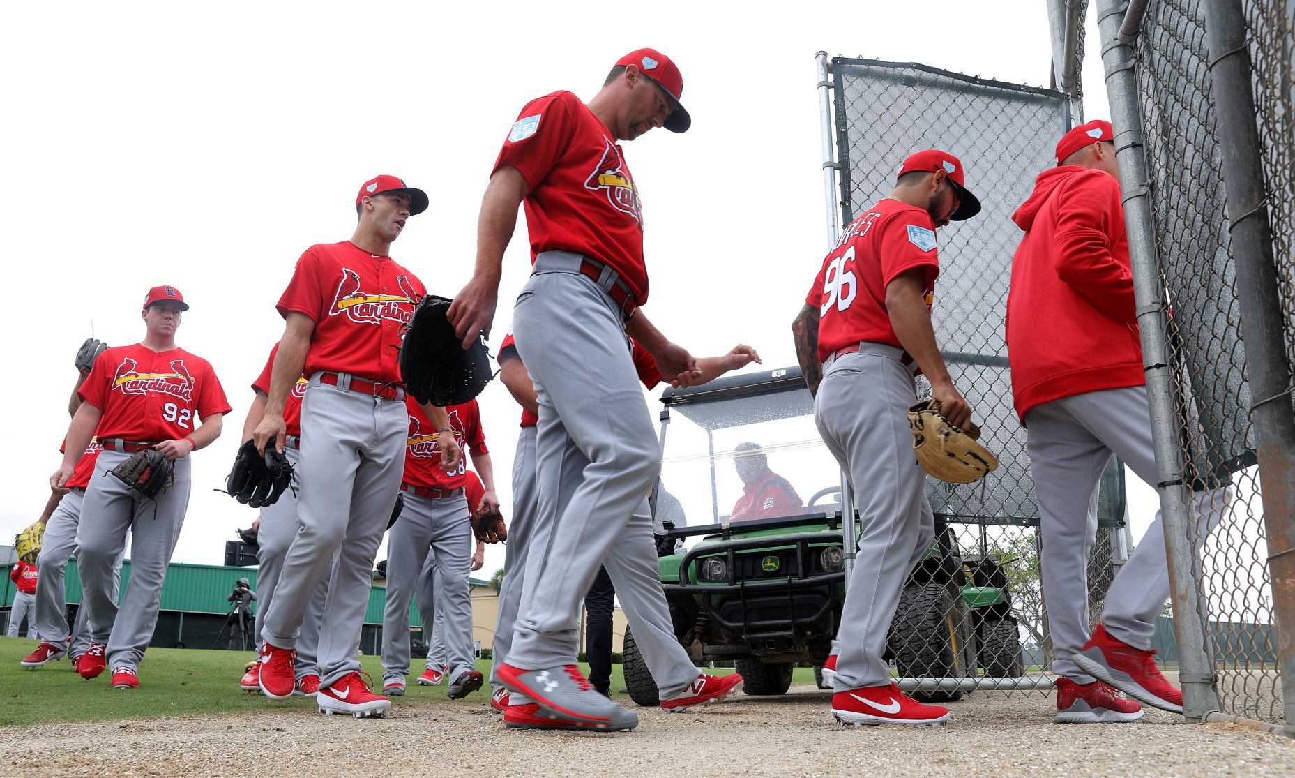 Cardinals spring training